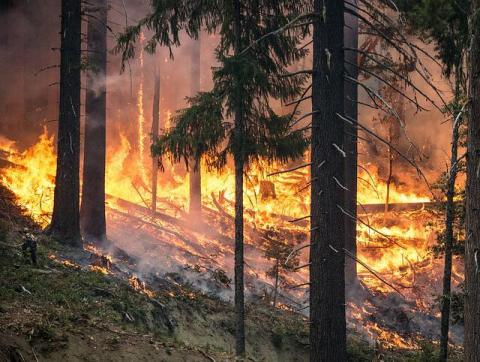 Vyhlásenie času zvýšeného nebezpečenstva vzniku požiaru	